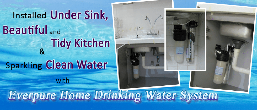 Everpure Under Sink Water Filter