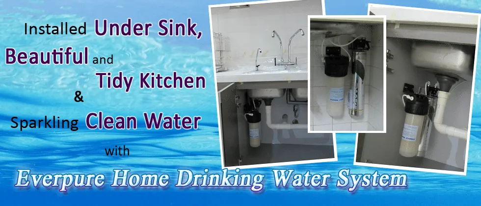 Water Filter Under Sink - Everpure